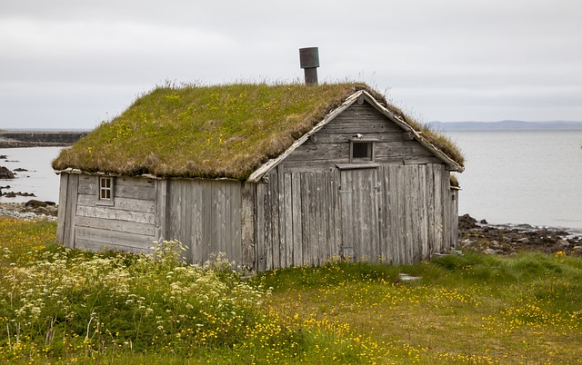 Groendaken