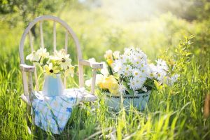 Waarom een tuin soms meer aandacht vraagt dan je verwacht